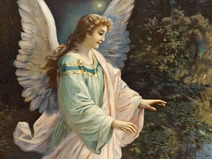 Image result for angel pictures