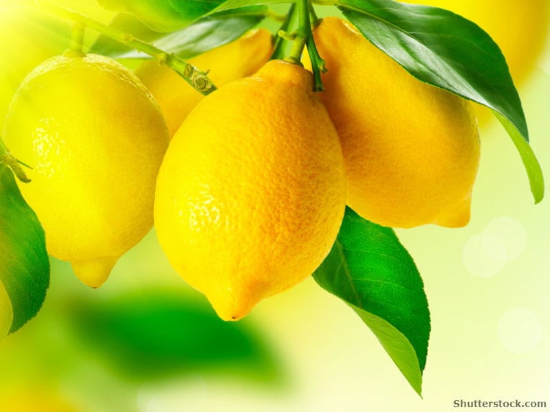 7 Things You Never Knew Lemons Could Do Usual Uses for