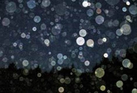 Image result for orbs