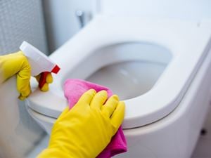 Cleaning Toilet