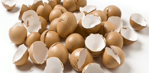 Image result for cascaras de huevo