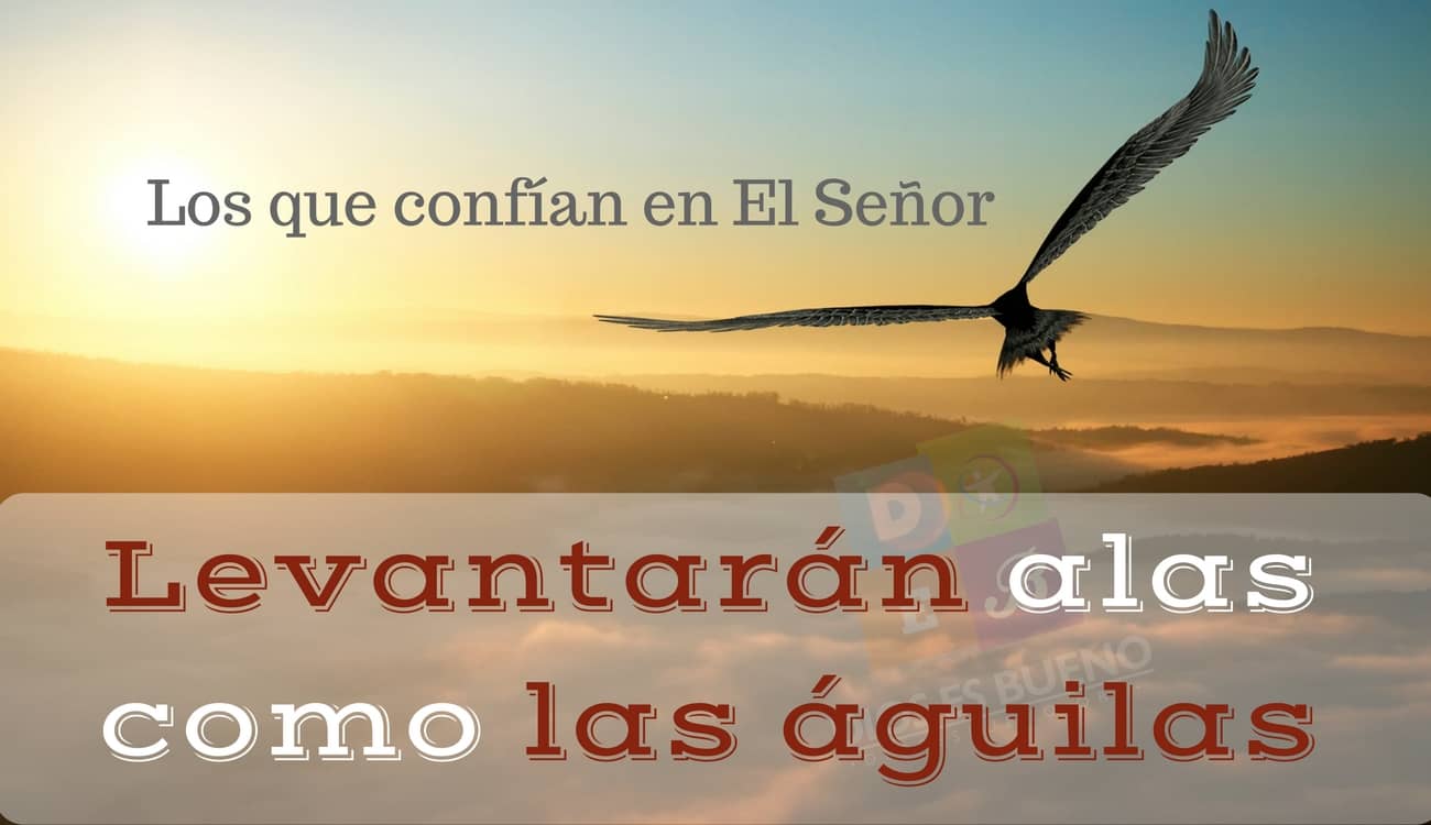 Sal A Volar Tu Eres Un Aguila De Dios Beliefnet