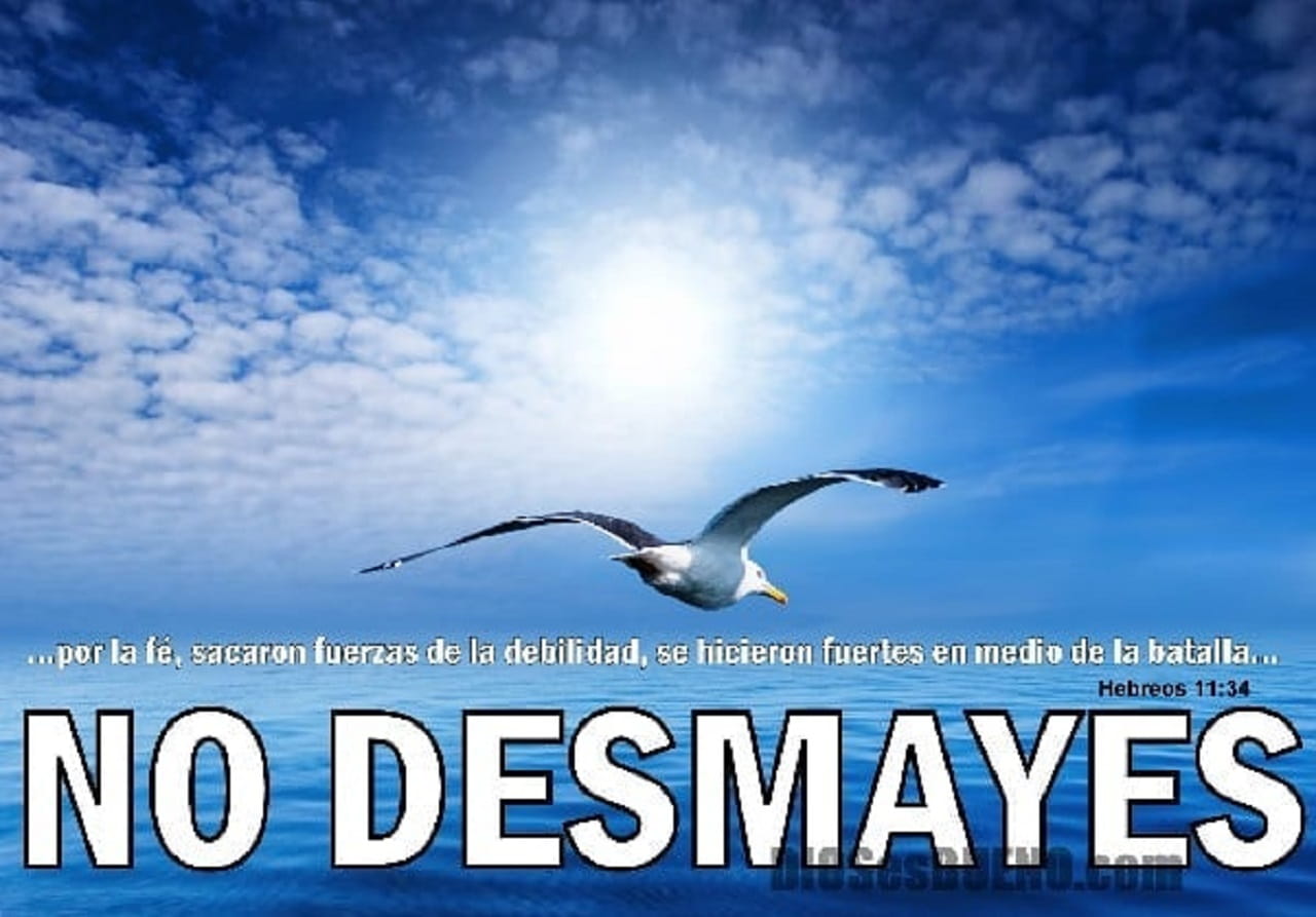 Palabras Que Fortalecen El Alma Beliefnet