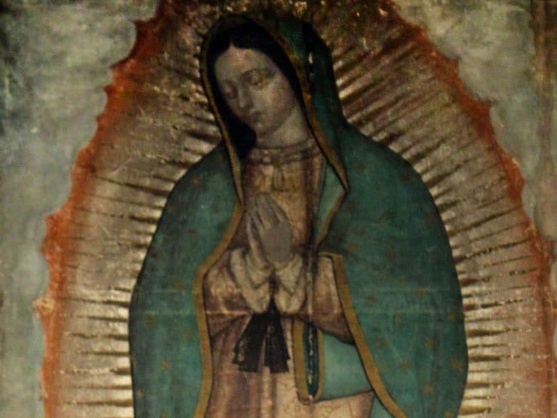 Our Lady of Guadalupe