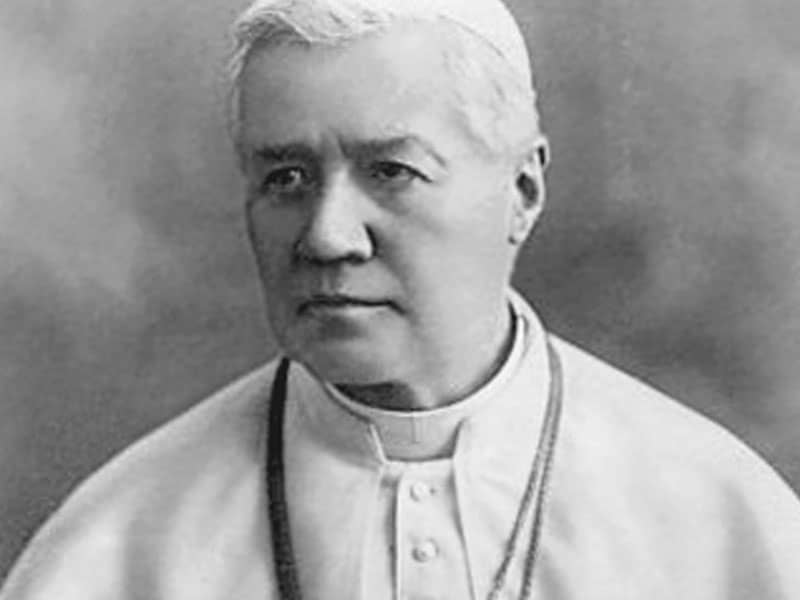 St. Pius X (1835-1914)