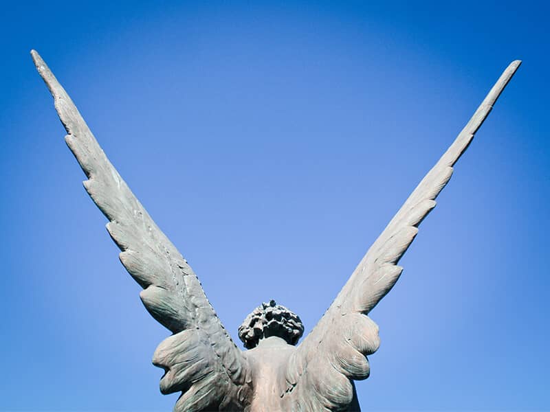 Angel statue wings