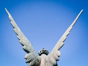 Angel statue wings