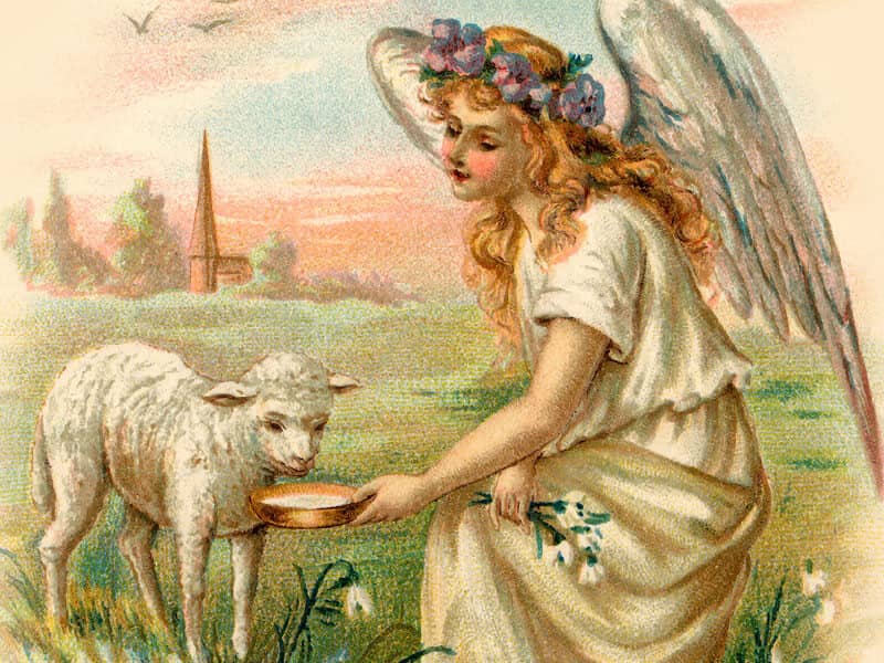 Angel with lamb