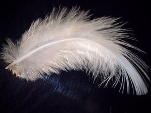 white feather