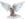 animals dove2