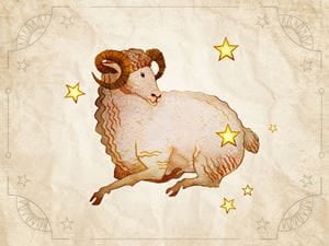 zodiac sign