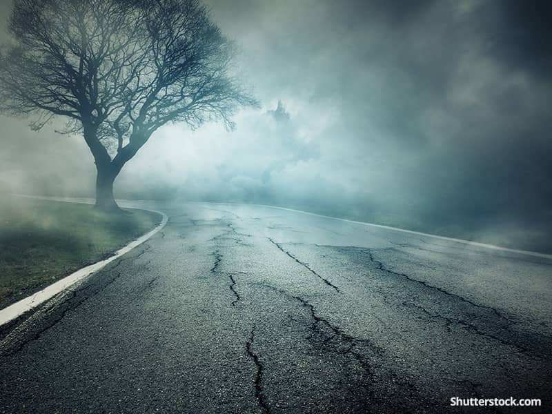 depression road fog tree