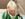 Pope John Paul II