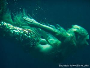 mysterious, imagined, creatures