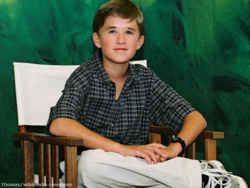 Child Stars Then Now Haley Joel Osment Gabby Hoffman - vrogue.co