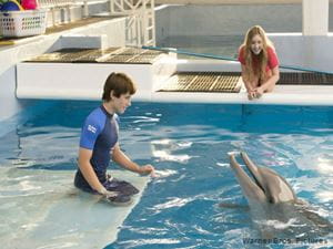 DolphinTale2