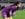 Hope Solo