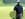 Tiger Woods
