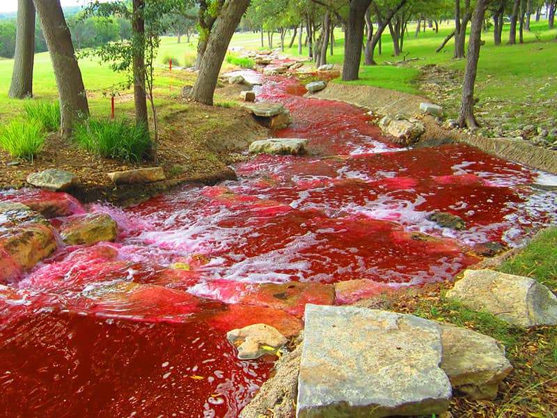 Bible Plague River Blood