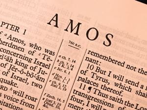 book of amos