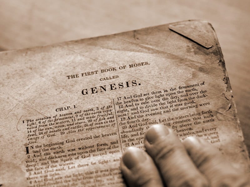 5 Things You Didnt Know About Genesis Book Of Genesis In The Bible