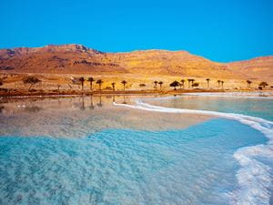 The Dead Sea 