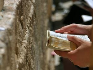 Torah Wailing Wall