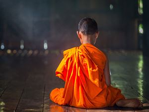 young monk