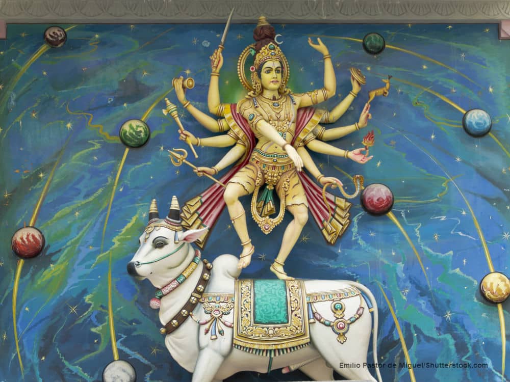 Animal Symbolism in the Hindu Religion