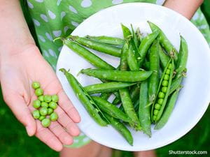 food-peas-fresh-green