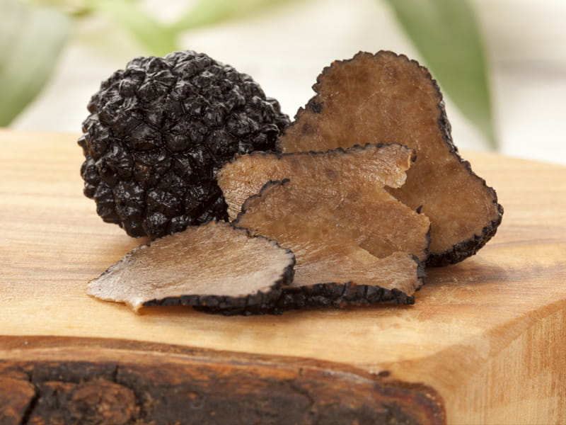 the-health-benefits-of-truffles-l-healthy-mushrooms-beliefnet