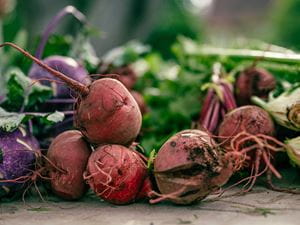 beets