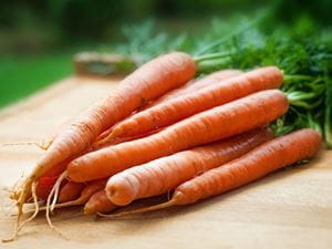 carrots