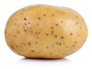 Potato