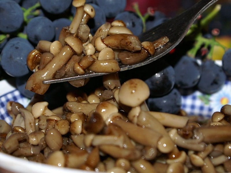 Pickled Mushrooms - Beliefnet