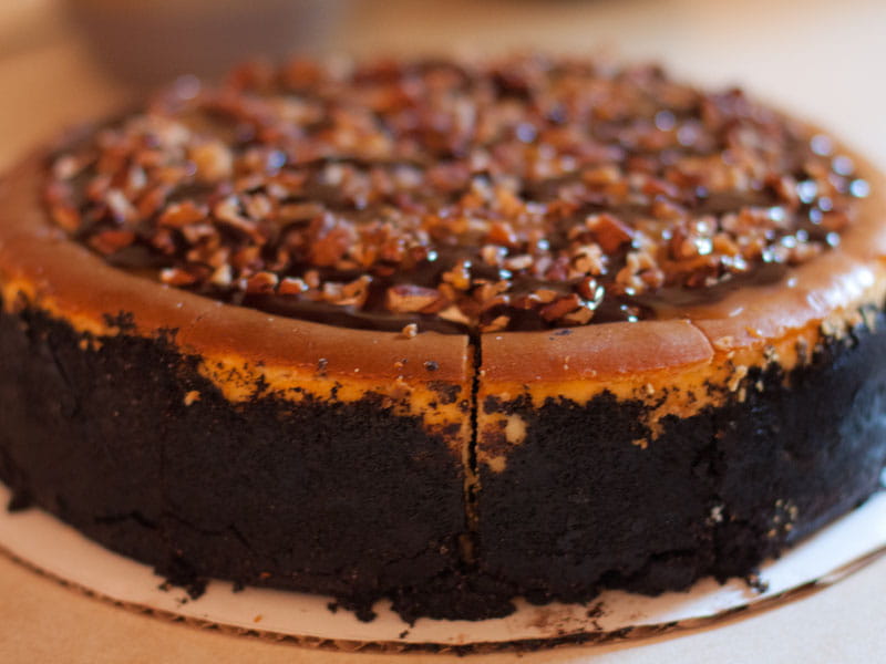 Turtle Cake - Beliefnet