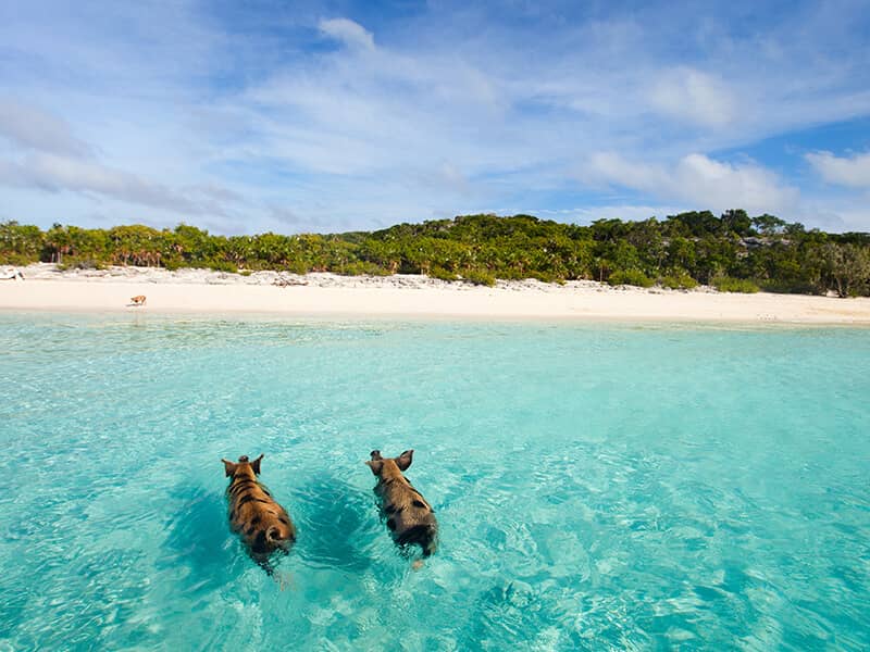 Exuma Bahamas