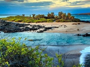Galapagos