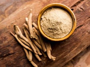 Ashwagandha
