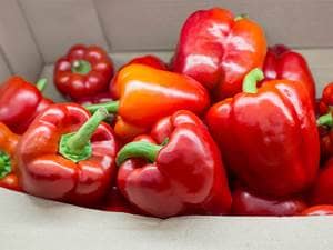 Red bell pepper 