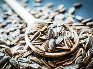 Sunflower seeds