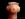 Tapeworm head