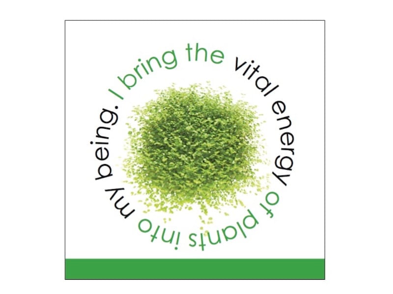 The Food and Love Series