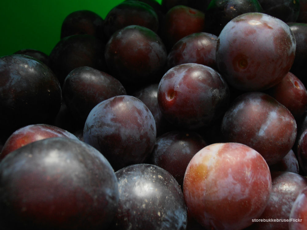 plump-for-the-goodness-of-plums-by-cindy-l-tjol-l-health-benefits-of