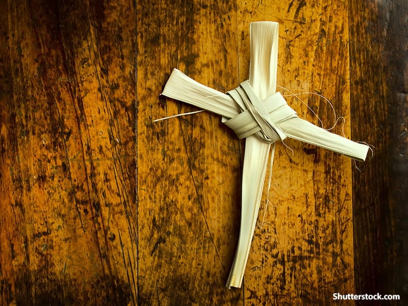 What Does the Bible Say About Palm Sunday?  Verses About 