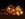 thanksgiving-fall-cornucopia-darkBG