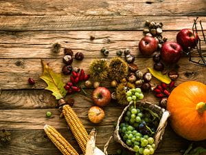 Fall foods