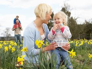 easter egg hunt