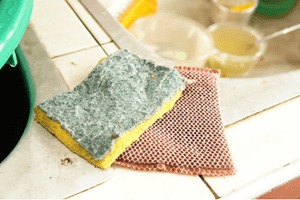 kitchen sponge