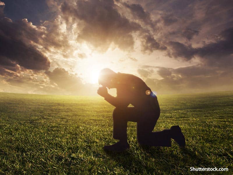 Man praying in Field 